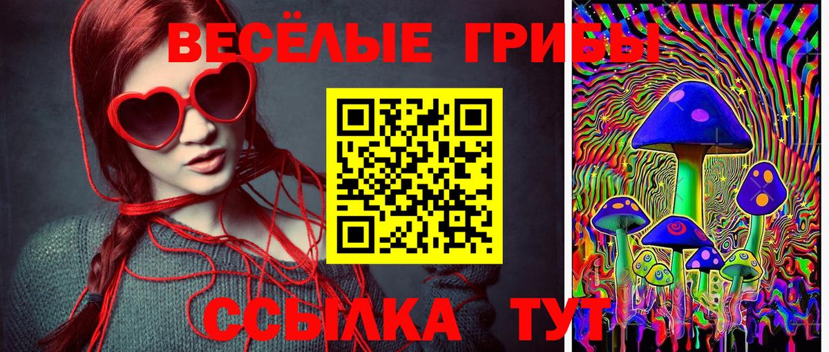 Псилоцибиновые грибы Psilocybe  Вход с VPN  где купить наркотик  Волоколамск 